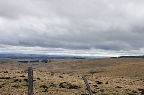 Die-Weiten-des-Aubrac